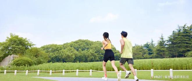 星空体育官网·app智慧体育屏如何在场馆中提升观赛体验