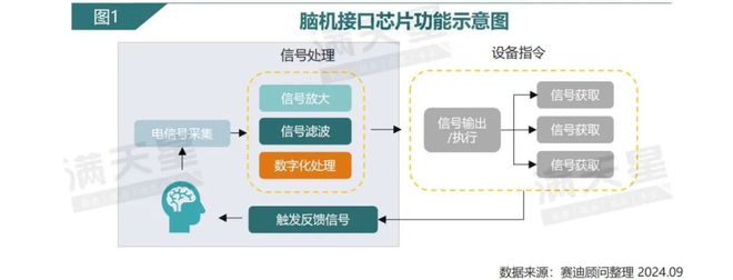 I星空官方体育T新语｜赛迪顾问：脑机接口芯片：探索大脑奥秘开启未来智能交互新征程（2024年第9期（总第15期））(图1)