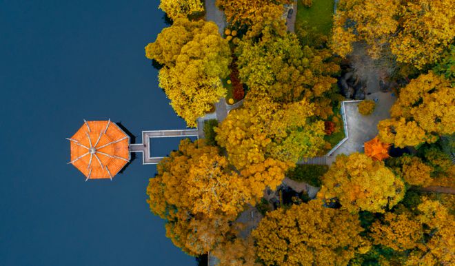 体育馆开盘！紧急加座！城央里首开封神！(图14)