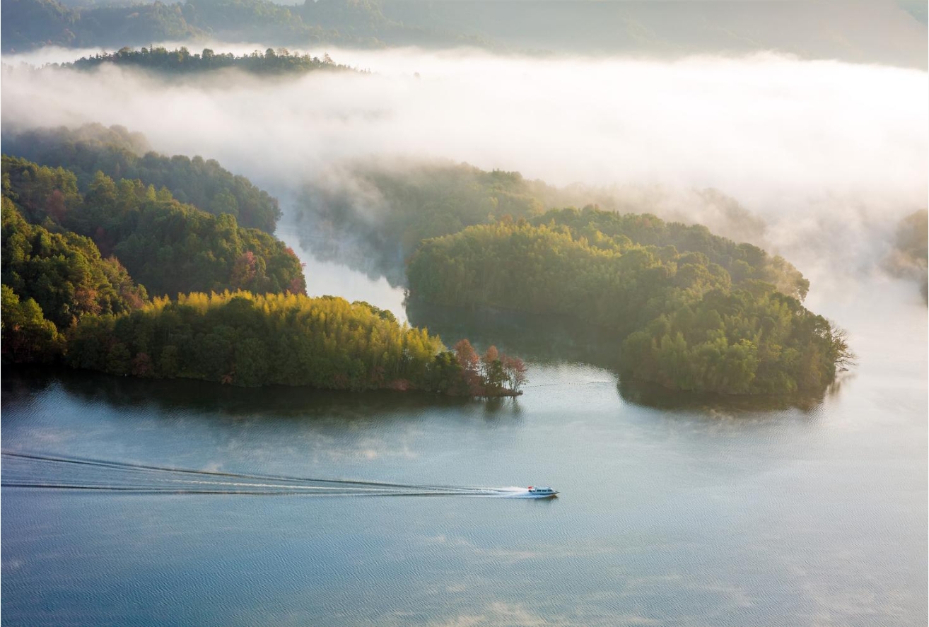 打造中部体育产业高地江西新余这座“小城”何以能(图8)