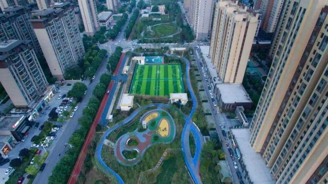 渭南市临渭区教育局：以“体育+”为笔绘就活力健康新图景(图4)